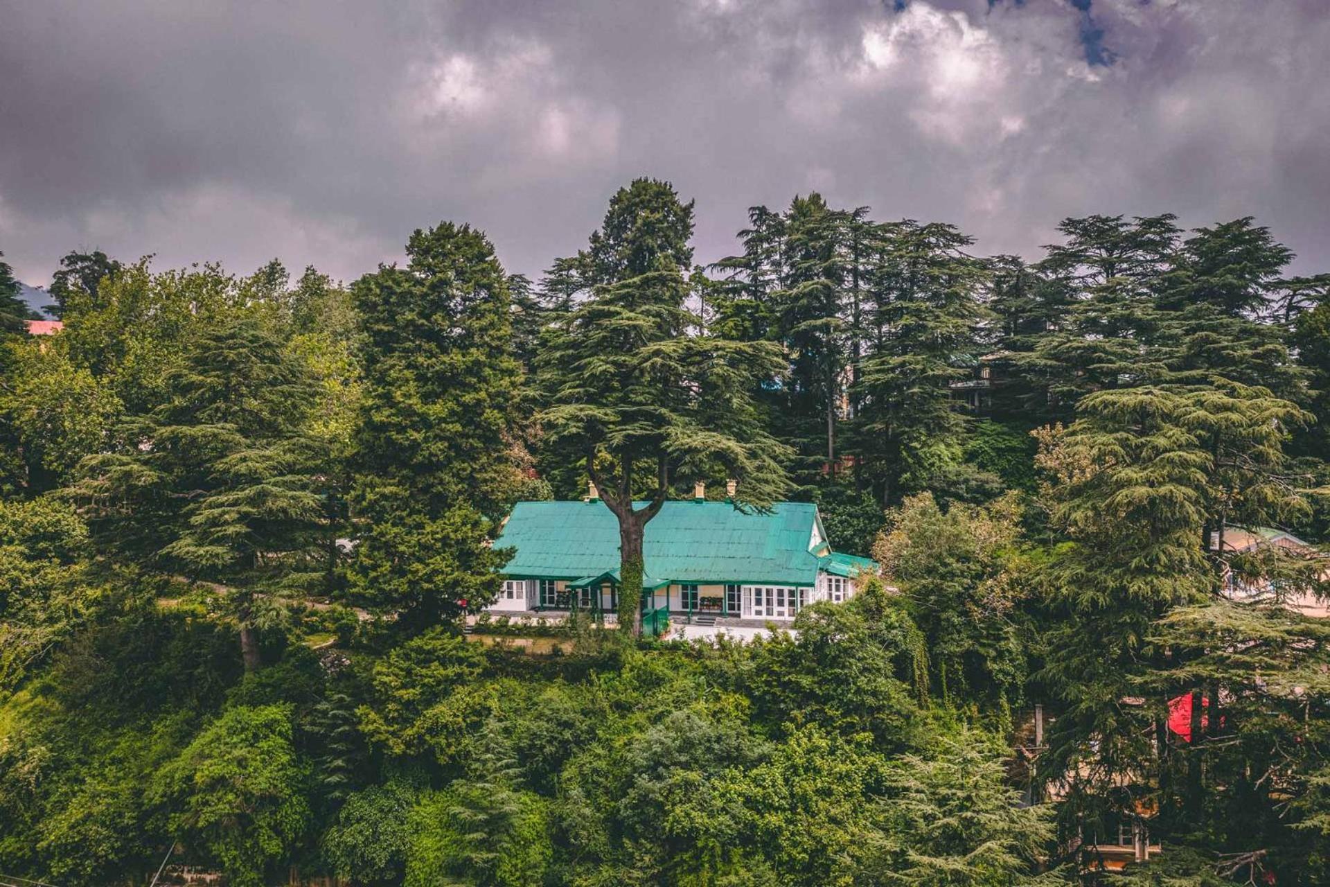 StayVista at Rose Cottage Shimla Esterno foto