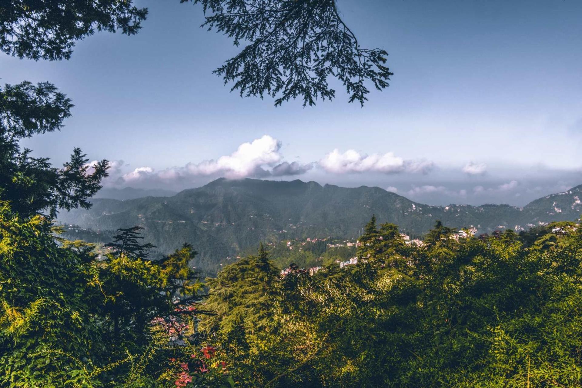 StayVista at Rose Cottage Shimla Esterno foto